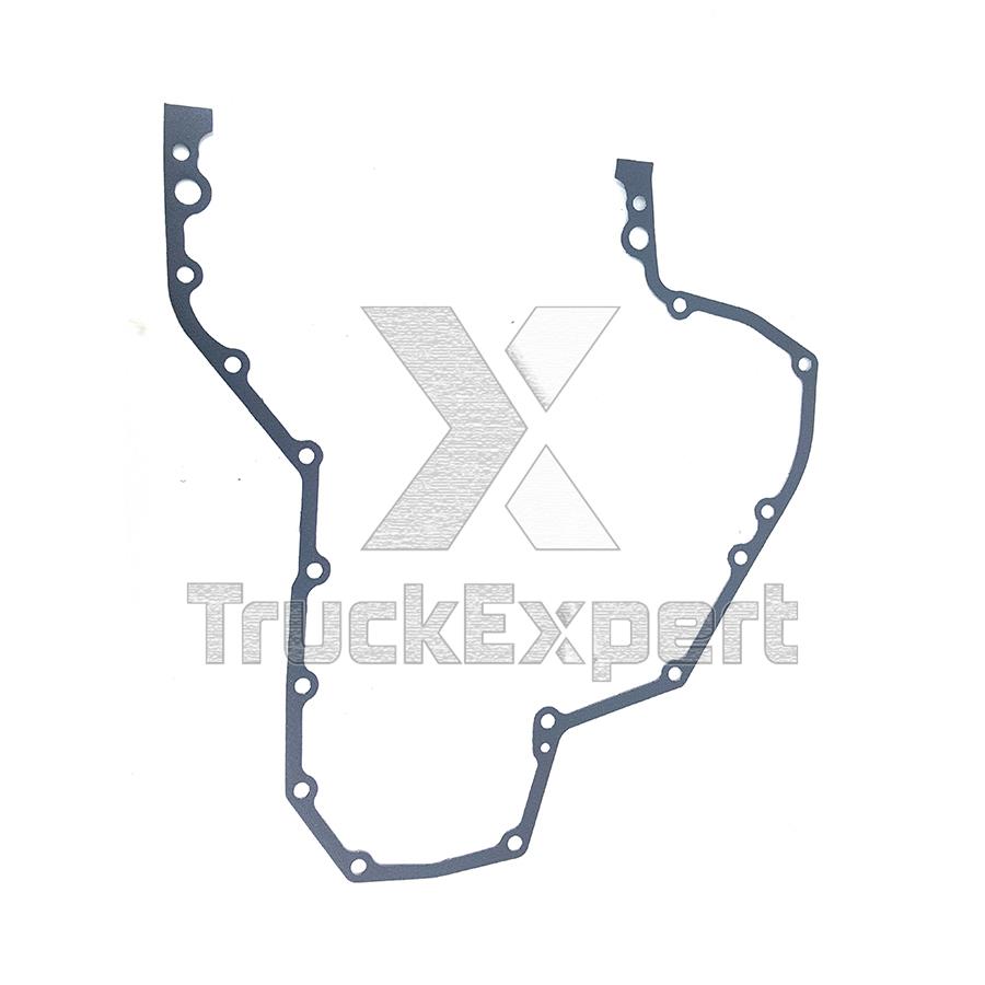 51019030252 GASKET, TIMING CASE