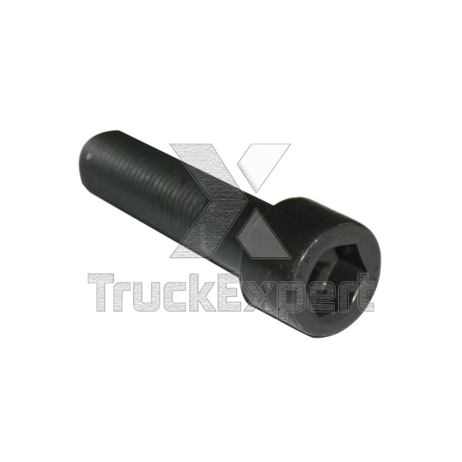 PIN BOLT M20 X 2 / 80 mm