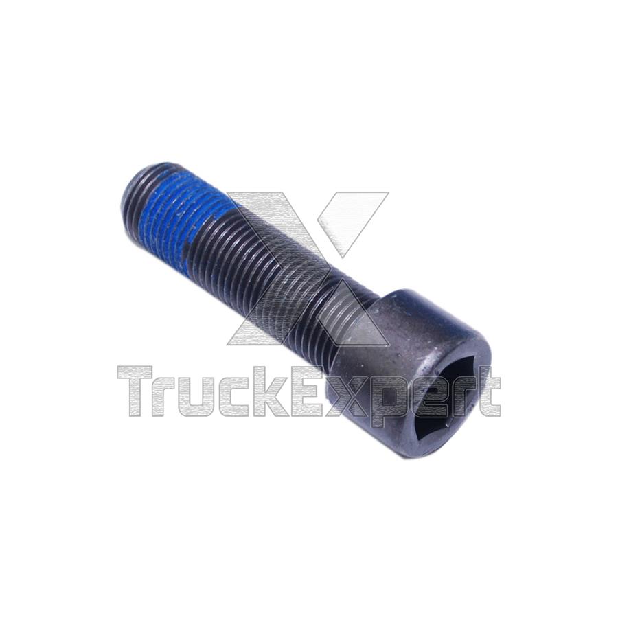 CALIPER BOLT M16 X 1,5 / 55 mm