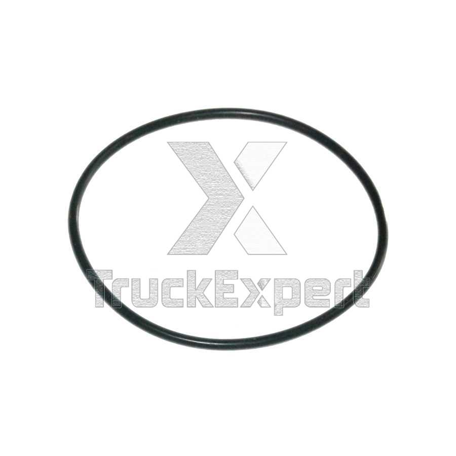 O-RING