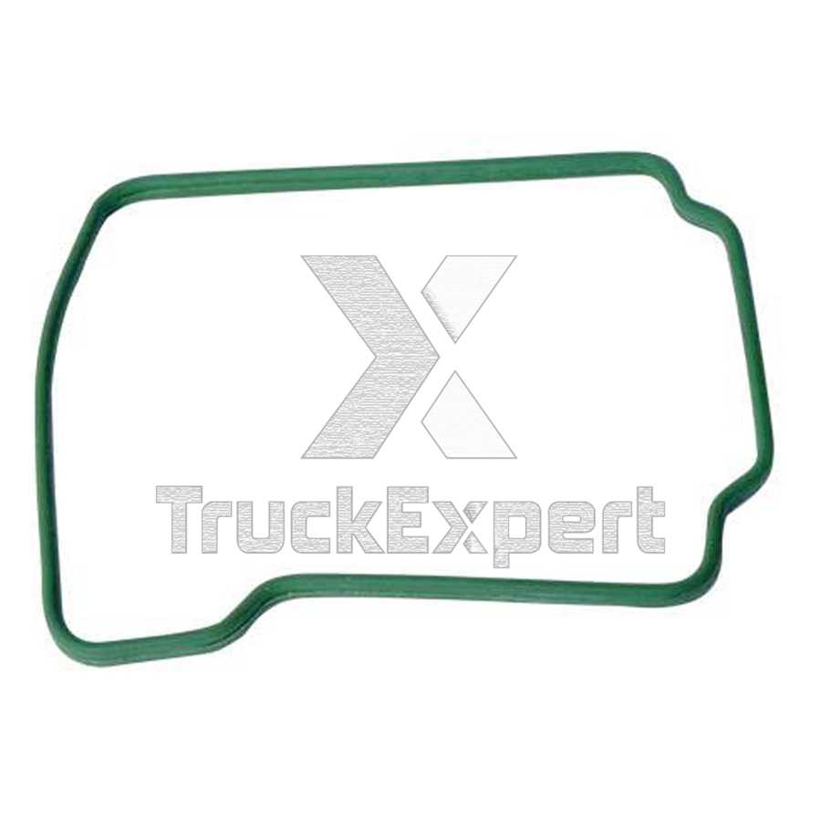 51961010048 GASKET QSILICON