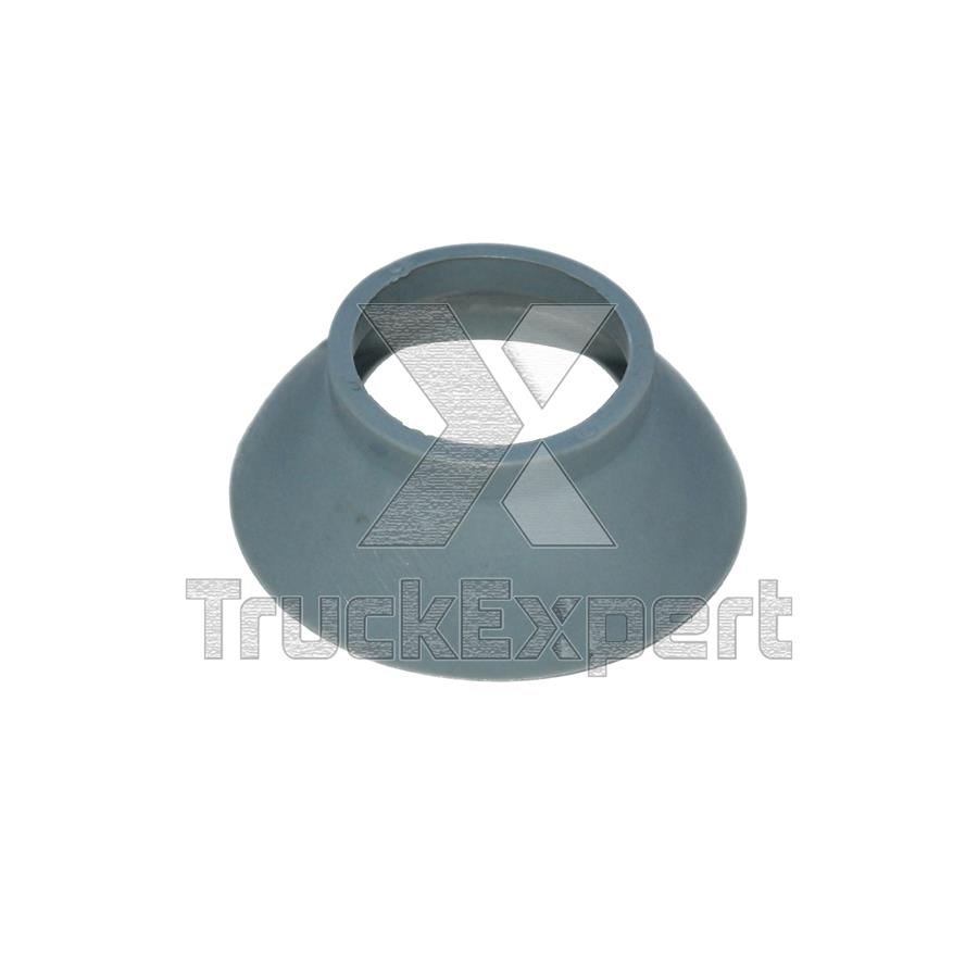 DUST COVER, BRAKE CAM SHAFT