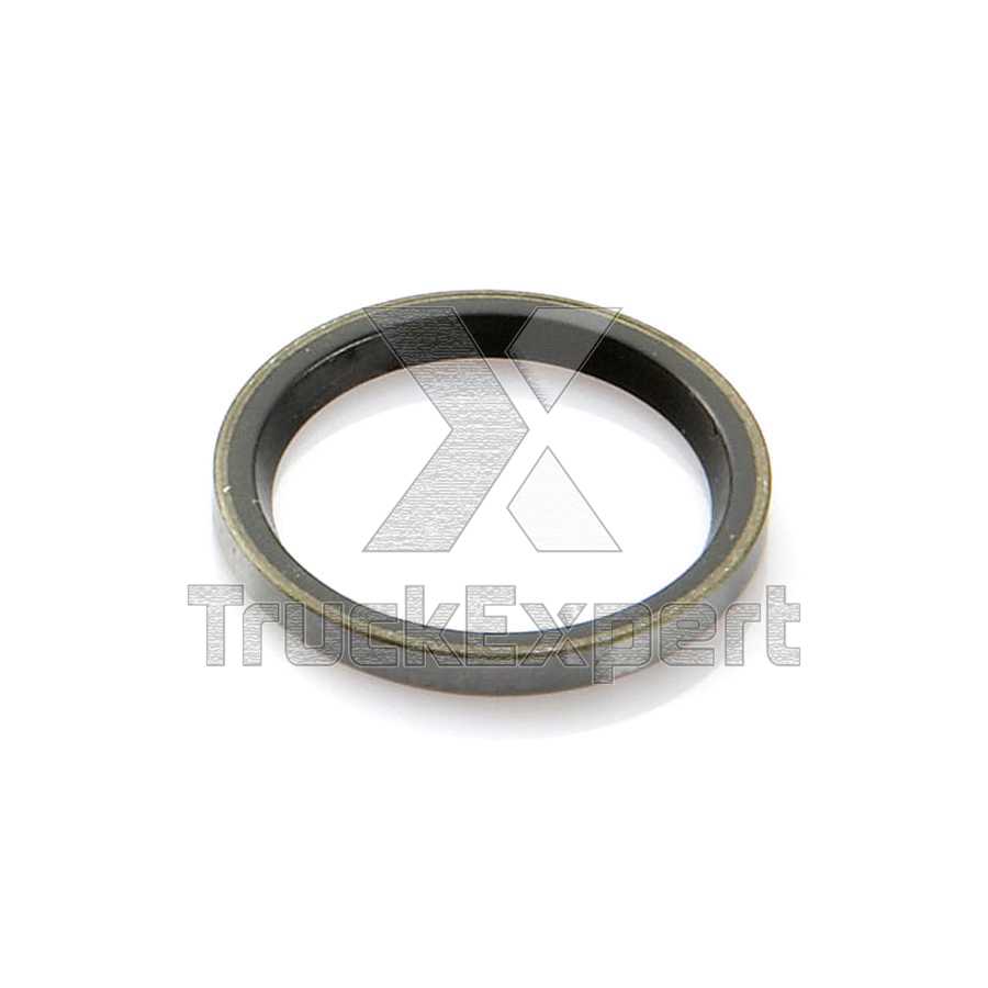 SEAL RING