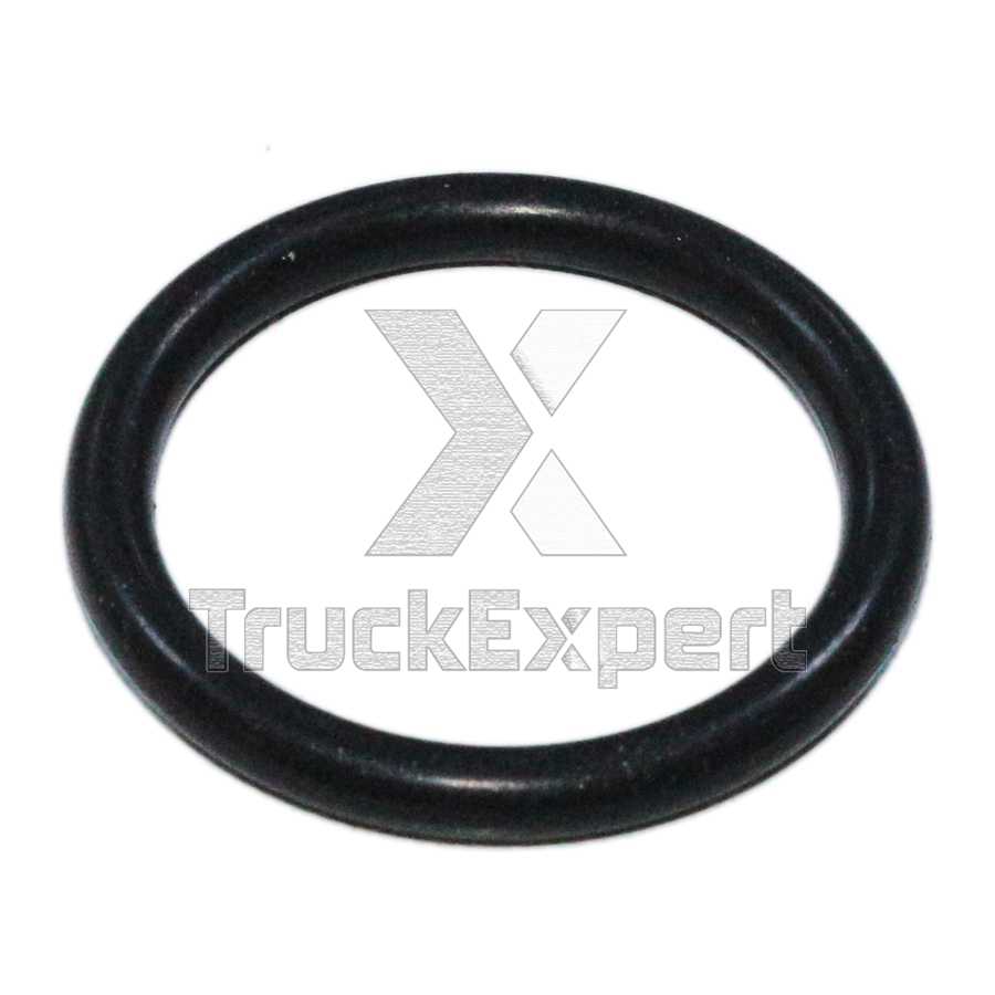 O-RING