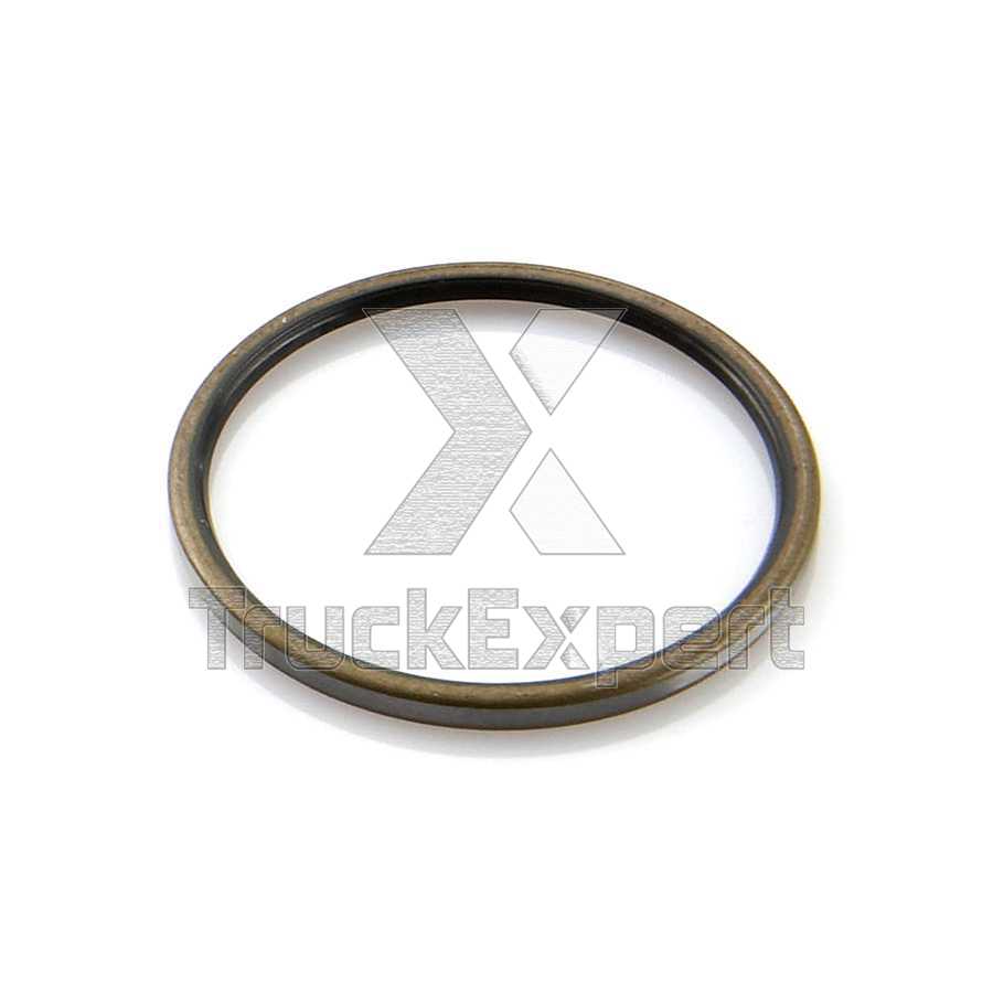 SEAL RING