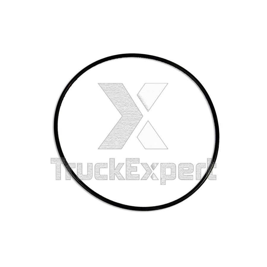 4315006100 O-RING