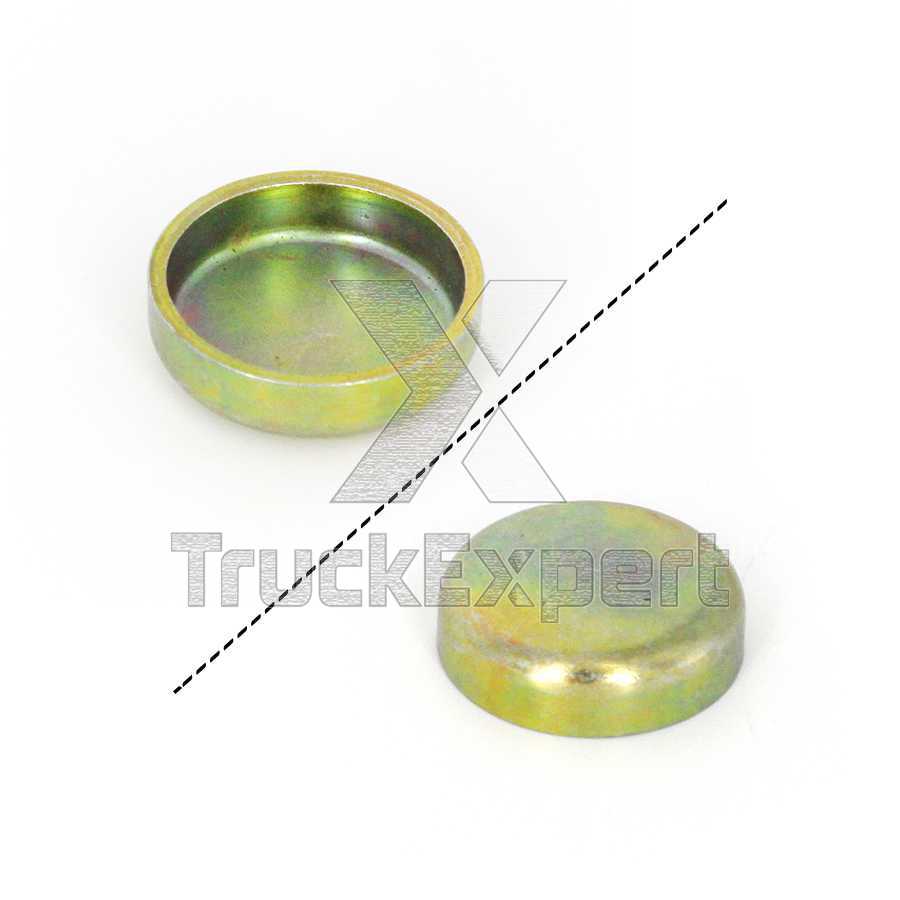 0214991 PLUG, CYLINDER BLOCK