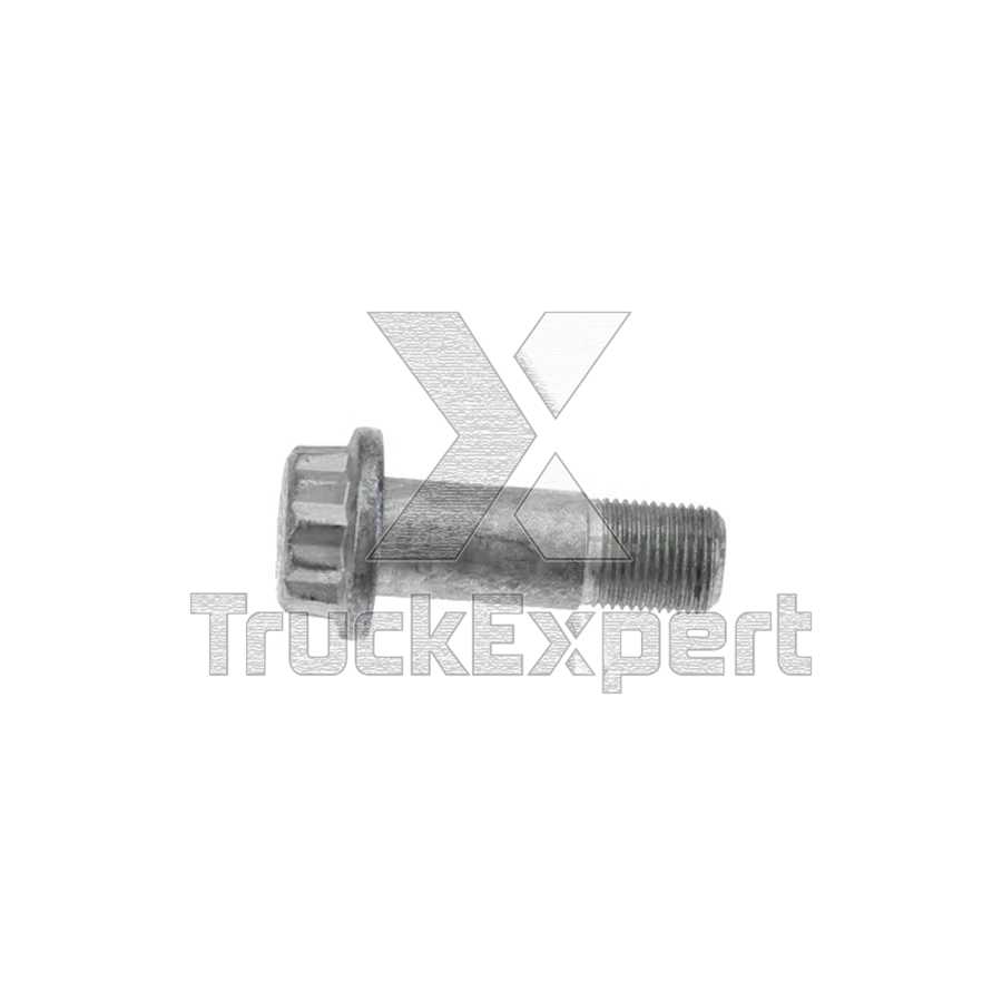 4375100810 FLANGE 12 POINTS SCREWS