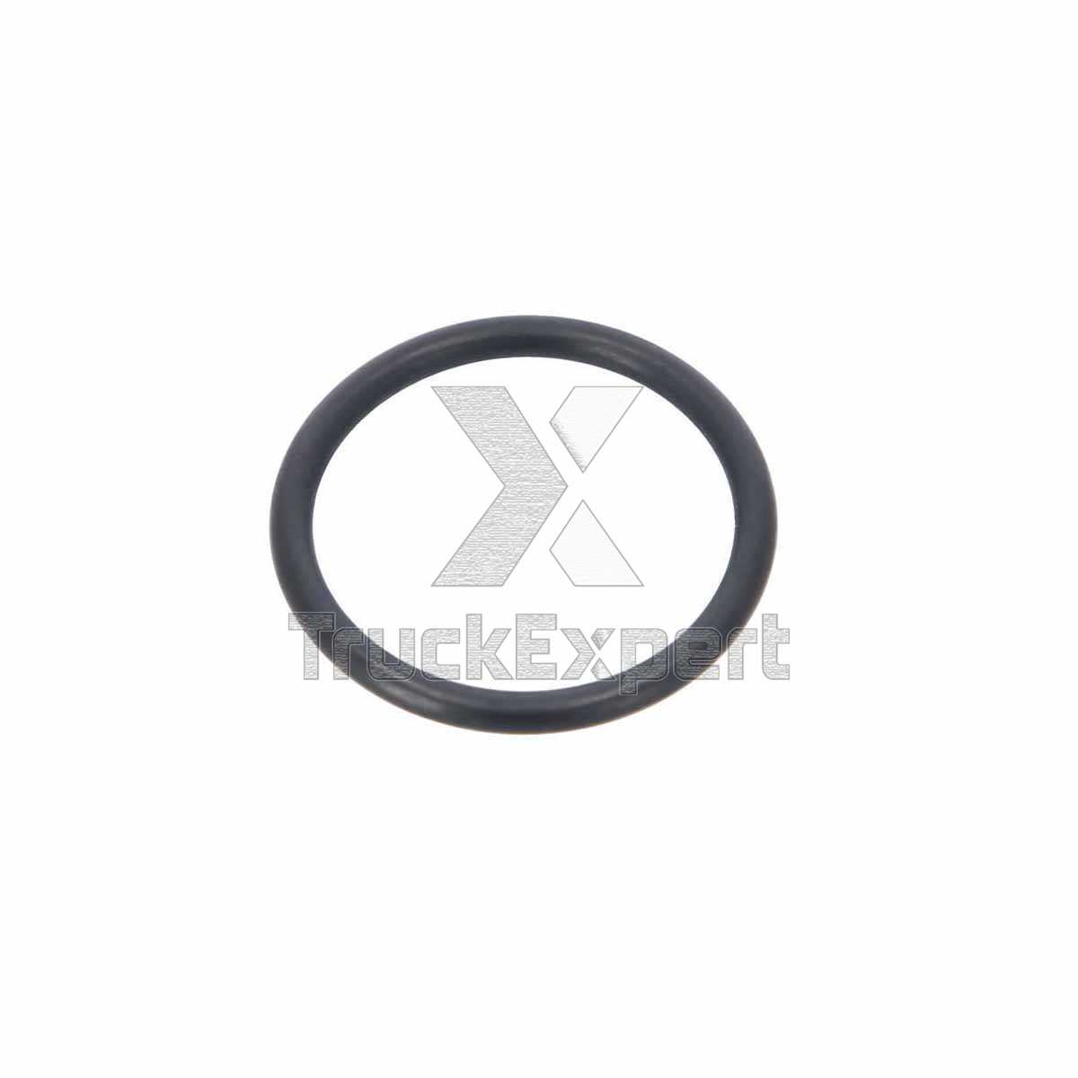 O-RING