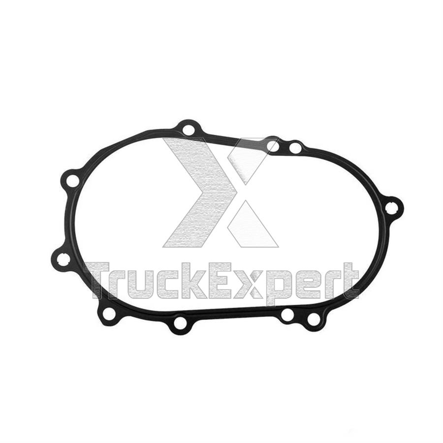 51069010196 WATER PUMP GASKET