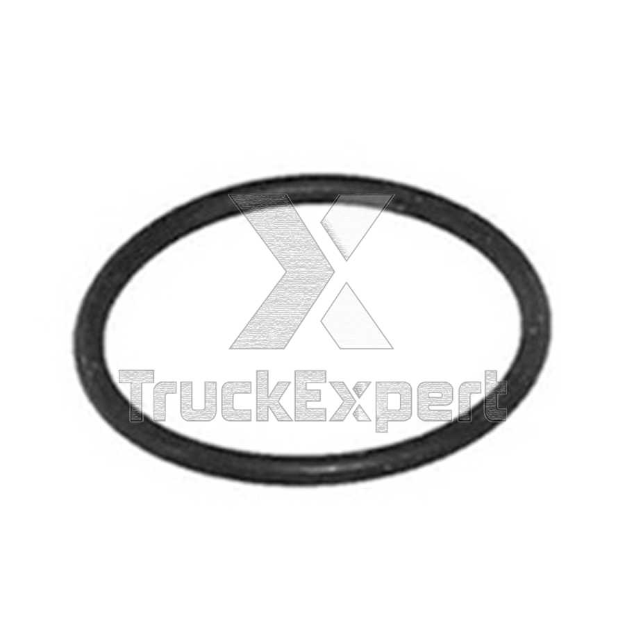 CALIPER BRAKE ADJUSTER O-RING (Ø33 x 2,50 mm)