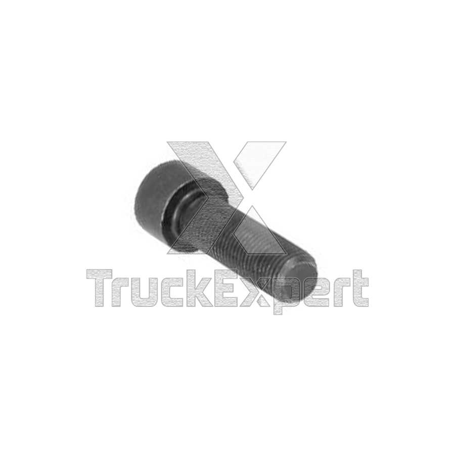 CALIPER BRAKE COVER PLATE BOLT 346 03 119
